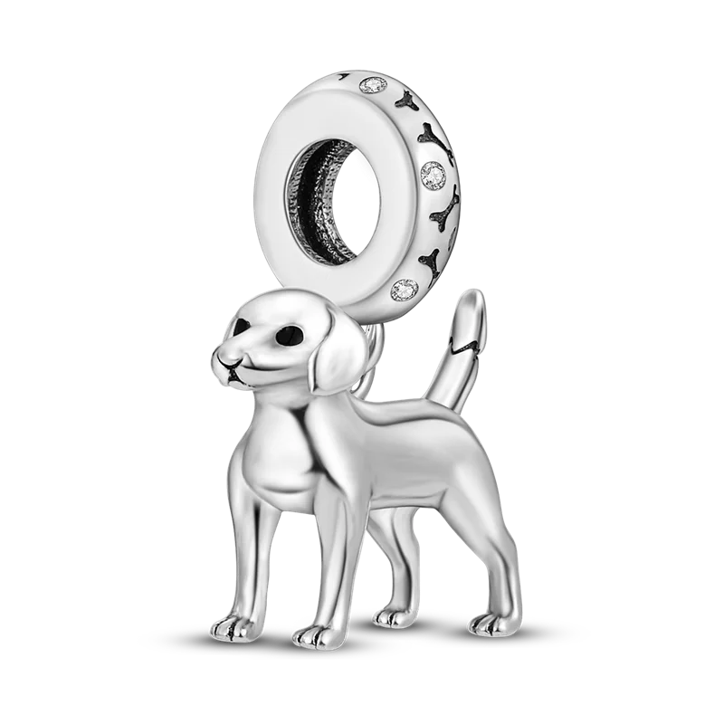 "Enchanted Power Charm"