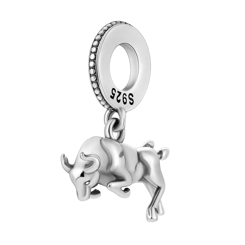 "Enchanted Power Charm"