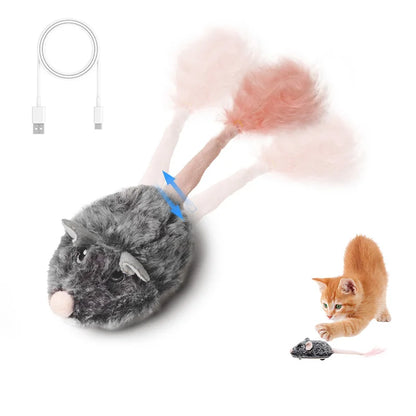 CatchMe: Rechargeable Moving Mouse Toy