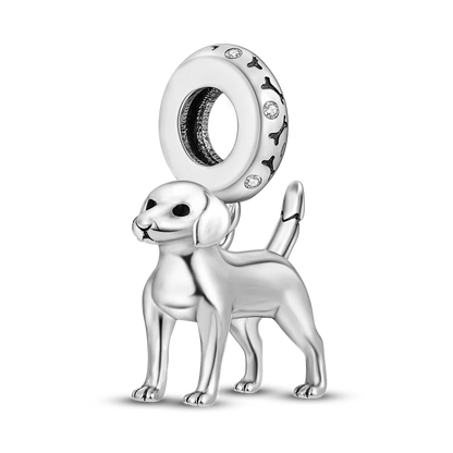 "Enchanted Power Charm"