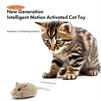 CatchMe: Rechargeable Moving Mouse Toy