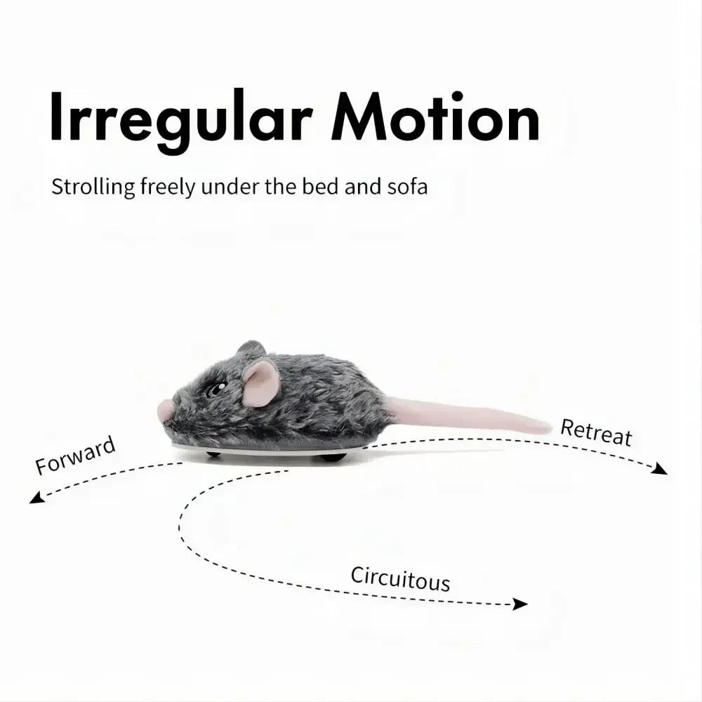 CatchMe: Rechargeable Moving Mouse Toy