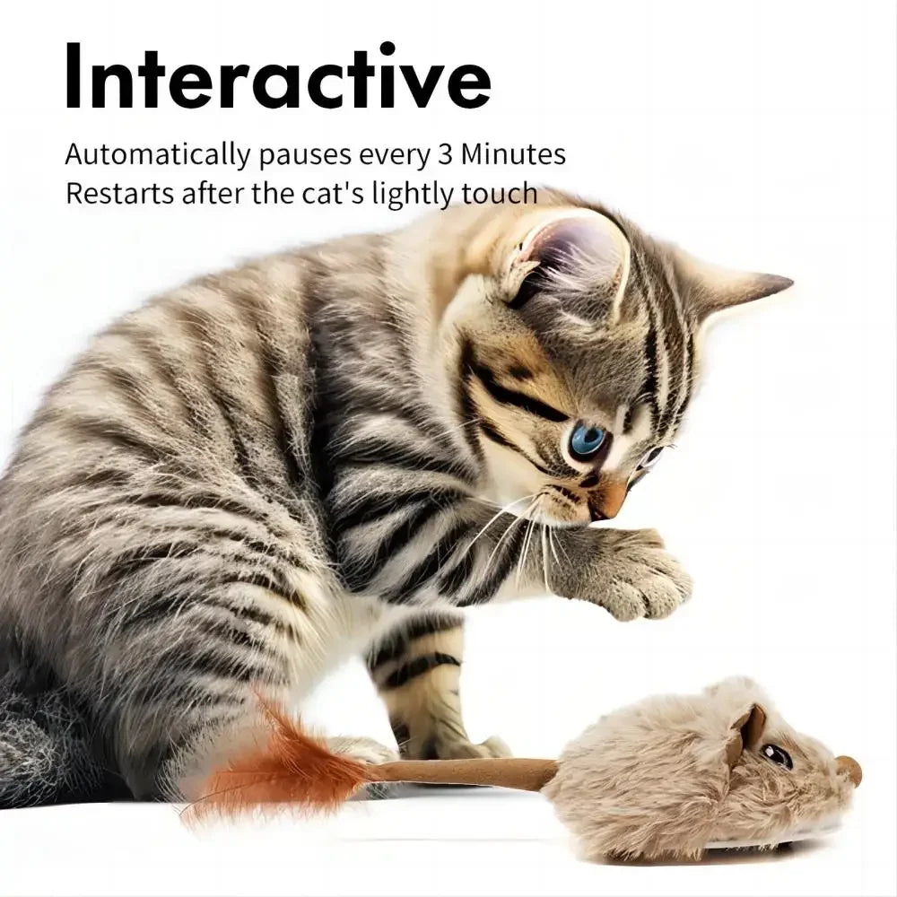 CatchMe: Rechargeable Moving Mouse Toy