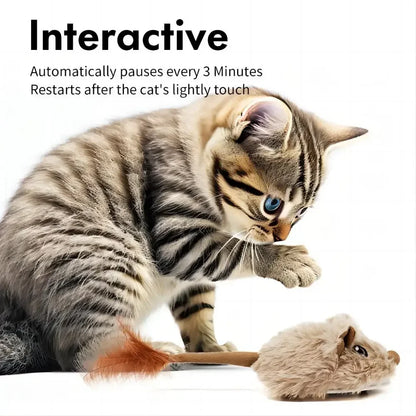 CatchMe: Rechargeable Moving Mouse Toy