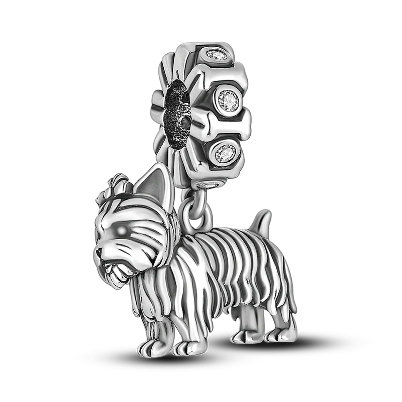 "Enchanted Power Charm"