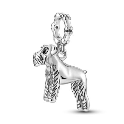 "Enchanted Power Charm"